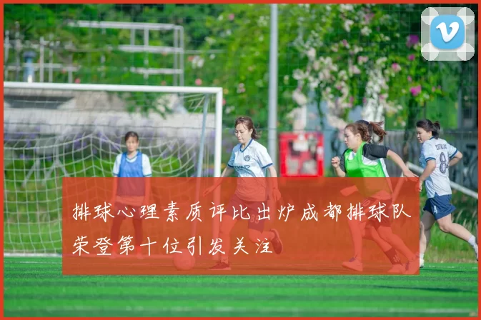 排球心理素质评比出炉成都排球队荣登第十位引发关注