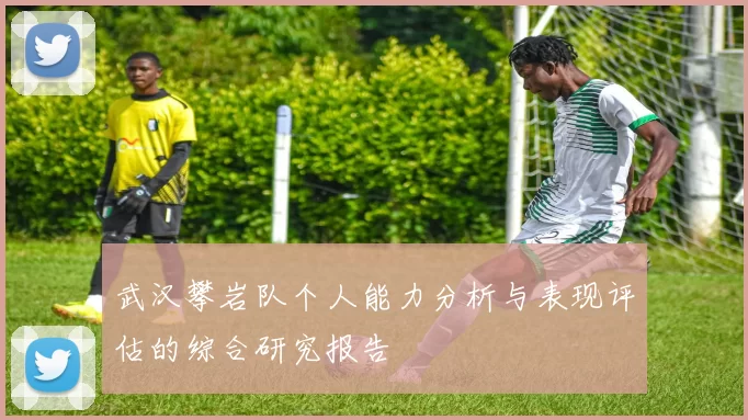 武汉攀岩队个人能力分析与表现评估的综合研究报告