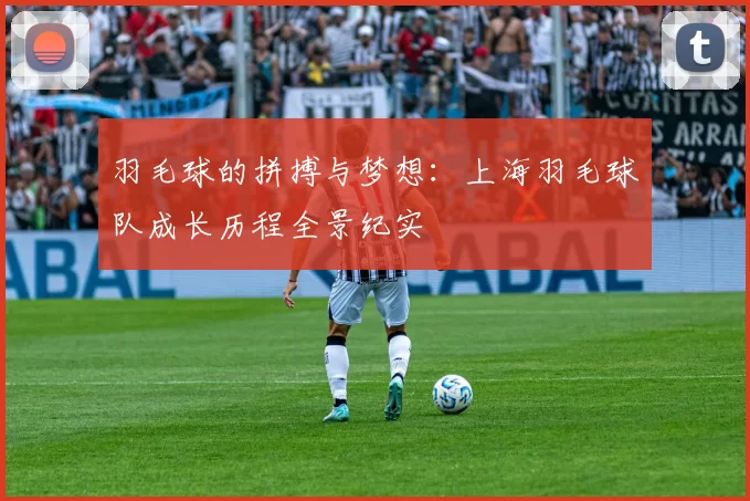 羽毛球的拼搏与梦想：上海羽毛球队成长历程全景纪实
