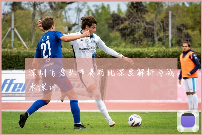 深圳飞盘队节奏对比深度解析与战术探讨