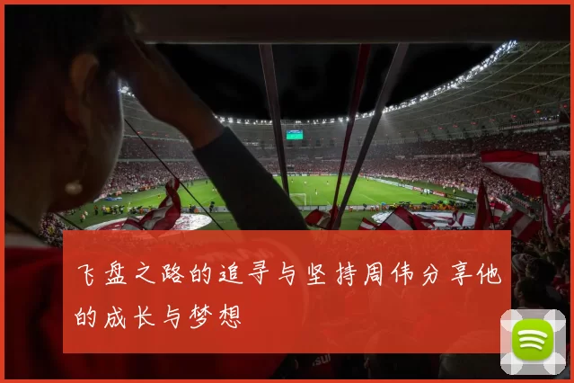 飞盘之路的追寻与坚持周伟分享他的成长与梦想