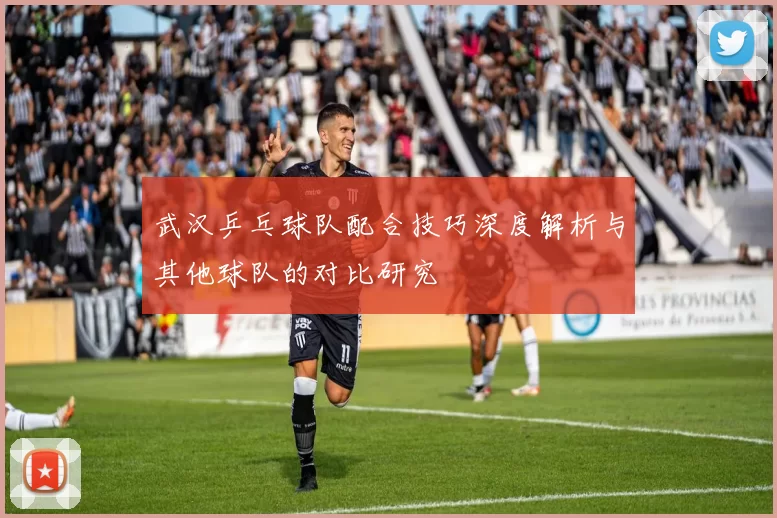 武汉乒乓球队配合技巧深度解析与其他球队的对比研究