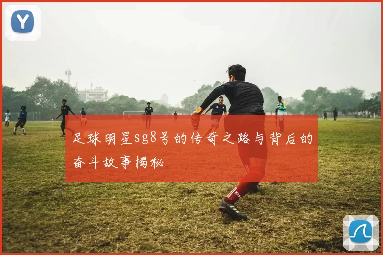 足球明星sg8号的传奇之路与背后的奋斗故事揭秘