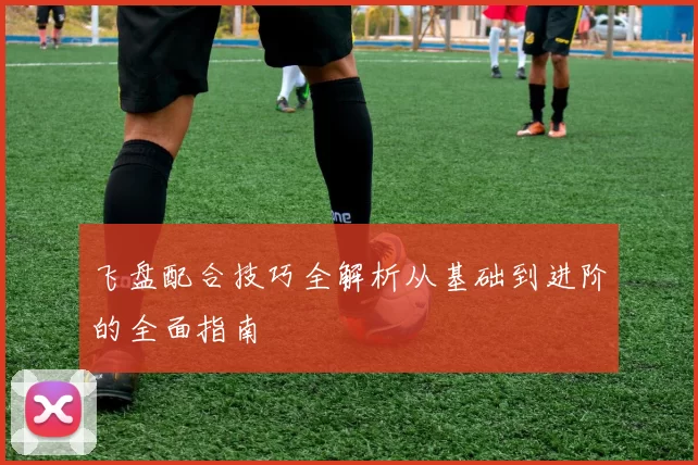 飞盘配合技巧全解析从基础到进阶的全面指南