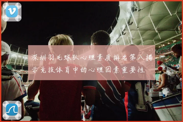 深圳羽毛球队心理素质排名第八揭示竞技体育中的心理因素重要性