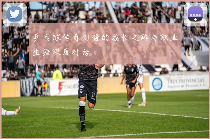 乒乓球传奇刘静的成长之路与职业生涯深度对话