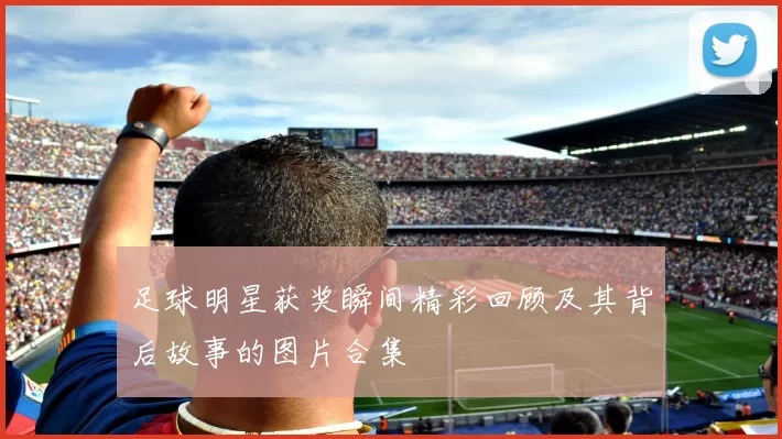 足球明星获奖瞬间精彩回顾及其背后故事的图片合集