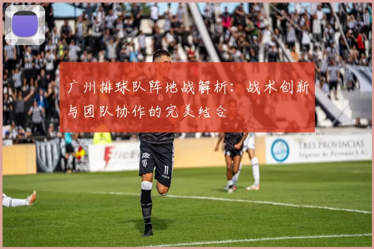 广州排球队阵地战解析：战术创新与团队协作的完美结合