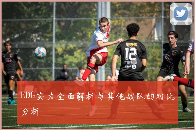 EDG实力全面解析与其他战队的对比分析