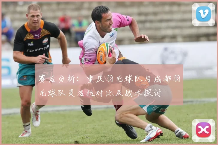 赛后分析：重庆羽毛球队与成都羽毛球队灵活性对比及战术探讨